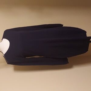 Gap Navy Sweater Dress With Zip Design On Neckline